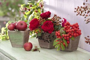 Pink (roses), rosehips, elderberry (Sambucus), edible mountain ash