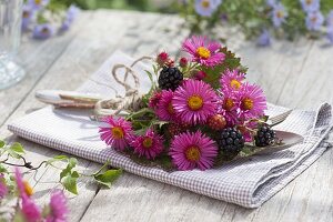 Small bouquet of Aster (Autumn Aster) and blackberries (Rubus)