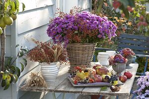 Thanksgiving table with bouquets of Rosa multiflora (mini rosehips), Aster