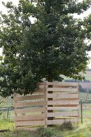 Protect trees near a construction site from construction machinery with a board cage