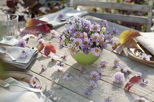 Simple autumnal table decoration with aster (autumn asters) in a green bowl