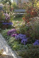 Autumn border with Aster dumosus 'Sapphire', 'Purple Diamond', 'AquaCompact'