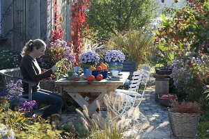 Herbstliche Terrasse am Gartenhaus