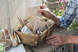 Harvesting and storing tomato seeds (6/6)