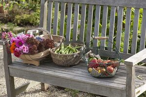 Baskets with peppers (Capsicum), tomatoes (Lycopersicon), beans