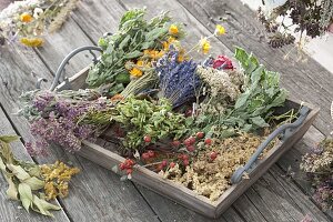 Making Incense from collected and dried herbs