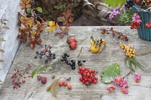Berry tableau with various pinks (rose hips), raspberry