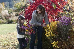 Mädchen mit Herbststrauß, Beet mit Acer palmatum