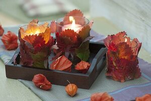 Glasses as lanterns with red leaves of strawberries