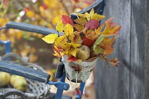 Leaves bouquet with branches of shrubs with beautiful autumn colors