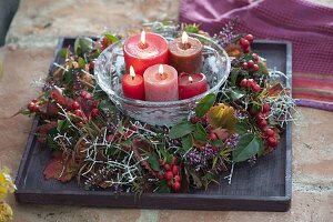 Autumn wreath with Gaultheria procumbens (false berry), Calocephalus