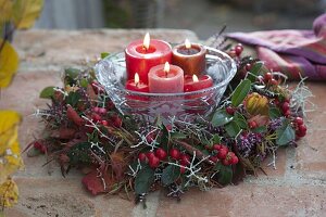 Autumn wreath with Gaultheria procumbens (false berry), Calocephalus