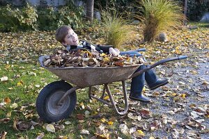 Autumn leaves in garden