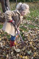 Autumn leaves in garden