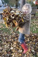 Autumn leaves in garden