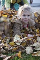 Autumn leaves in garden