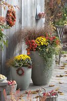 Tall grey tubs planted in autumn