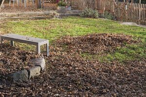 Autumn leaves and bench on the lawn