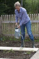 Woman watering freshly planted fennel (foeniculum)