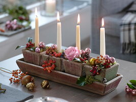 Adventliche Kerzendeko mit Malus (Zieräpfeln), Rosa (Rose, Hagebutten)