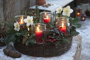 Planting ring made of willow as Advent wreath with Helleborus, Gaultheria