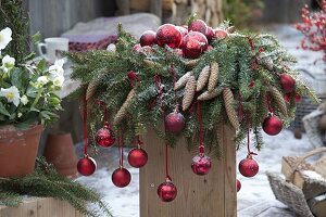 Kranz aus Picea omorica (Fichte) mit Zapfen, geschmückt mit roten Kugeln