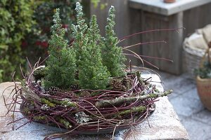 Kranz aus Cornus-Zweigen, Totholz und Gras 5/5