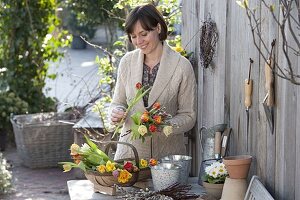 Frau bindet Strauß aus Tulipa (Tulpen) und Salix (Weidenkätzchen)