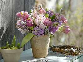 Spring bouquet in terracotta vase Tulipa (tulips), Hyacinthus (hyacinths)