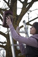 Frau reinigt Nistkasten im Frühling