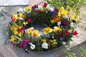 Wreath of Vaccinium (blueberry branches) with flowers of Bellis