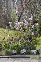 Spring bed with magnolia