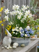Zinc Bowl with Narcissus 'White Tete', Tiarella 'Morning Star'