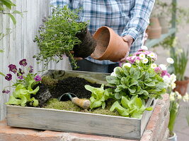 Wooden box with herbs and edible flowers