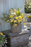 White-yellow spring bouquet of Prunus (cherry) and Narcissus