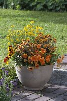 Gelb-orange bepflanzter Kübel mit Viola wittrockiana (Stiefmütterchen)