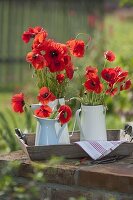 Meadow bouquet of Papaver rhoeas (corn poppy) in pots on wooden tray