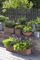 Herb arrangement on brick wall