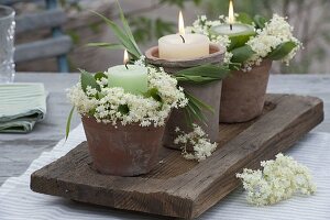 Kerzenkränze aus Blüten von Sambucus nigra (Holunder)