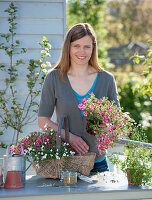 Planting a basket with handles as a hanging basket