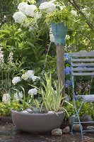 Wasserspiel mit Iris pseudacorus 'Variegata' (Sumpfschwertlilie), Alisma