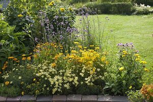 Yellow summer bed with perennials and summer flowers