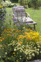 Gelbes Sommerbeet mit Stauden und Sommerblumen