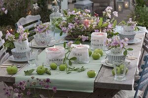 Romantic table decoration with perennial vetches