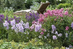 Herbaceous border with Stachys 'Hummelo', Phlox maculata 'Natascha'