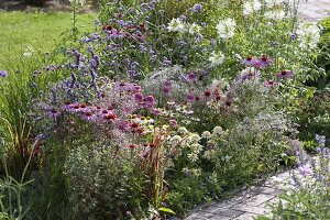 Staudenbeet im Farbverlauf weiss-rosa-lila