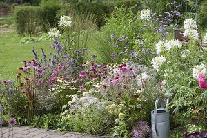 Perennial flowerbed in white-pink-purple gradient