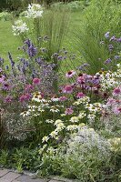 Staudenbeet im Farbverlauf weiss-rosa-lila