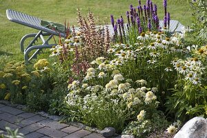 Beet mit Echinacea purpurea 'Avalanche' weiss, 'Meringue' weiss gefüllt