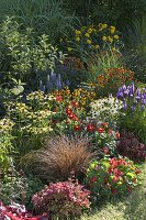 Buntes Staudenbeet: Echinacea purpurea 'Sunset', 'Avalanche' (Sonnenhut)